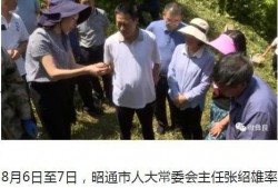 彝良媒体爆料案件最新,最新案件进展引发社会关注