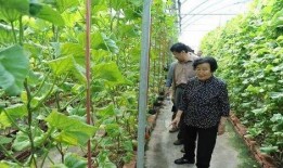 濮阳吃瓜最新事件爆料是真的吗,真相揭秘还是网络谣言？