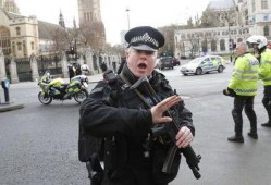 英国警方最新爆料,揭秘重大犯罪案件背后惊人内幕