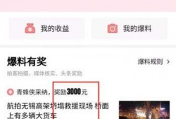 爆料视频 奖励,幕后真相与惊人内幕大曝光
