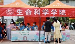 港媒爆料视频下载网站大全,热门视频下载网站大全汇总