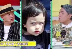 小胖爆料四姑娘视频,四姑娘视频背后的惊人真相