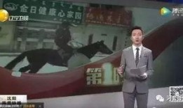 小马哥爆料视频完整版,揭秘幕后真相与惊人内幕